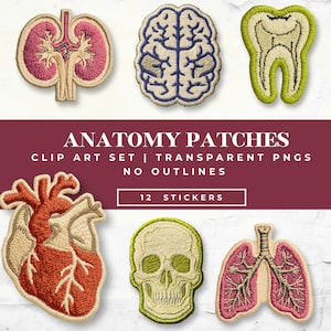May include: Anatomy patches set featuring embroidered designs of human organs, including a kidney, brain, tooth, heart, skull, and lungs. The patches are in various colors, with the text "ANATOMY PATCHES" and "12 STICKERS".