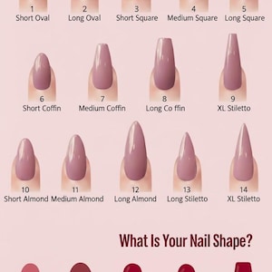 May include: A nail shape guide featuring fourteen numbered mauve-colored nail tips in various lengths and styles including oval, square, coffin, and stiletto. Below, five additional shapes are labeled Natural, Round, Squoval, Coffin, and Stiletto.