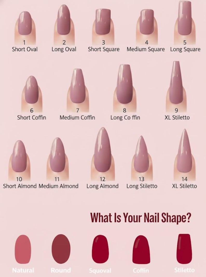 May include: A nail shape guide featuring fourteen numbered mauve-colored nail tips in various lengths and styles including oval, square, coffin, and stiletto. Below, five additional shapes are labeled Natural, Round, Squoval, Coffin, and Stiletto.
