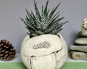Medium Ceramic Pot for Succulent, Cacti, Flowers Planter, Decorative Indoor Planter Pot, Living Room Decor