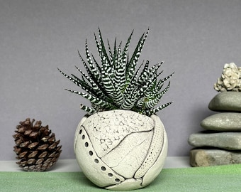 Small Ceramic Sphere Planter Pot for Succulent, Cactus, Flowers, Unique Home Decor, Indoor Decorative Planter, Eclectic Ceramic Planter