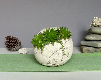 Medium Ceramic Planter for Succulent, Cacti, Flowers, Decorative Outdoor Planter Pot, Balcony Garden Decor