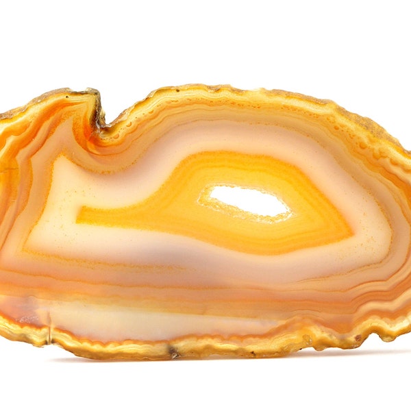 Agate Slice Druzy Geode (83mm x 43mm x 4mm) - Caramel Agate - Banded Agate - Brazilian Agate - Reiki Gems