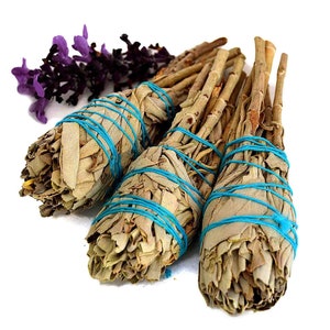 Californian White Sage Torch - 4" White Sage Smudge Stick - Natural Energy Cleaner Incense