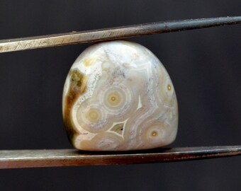 Ocean Jasper Cabochon Stone (16mm x 16mm x 6mm) - Shield Cabochon - Orbicular Jasper - Loose Gem