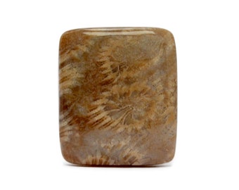 Agatized Fossil Coral Cabochon Gemstone (29mm x 25mm x 6mm) - Rectangle Cabochon Stone - Agatized Coral - Loose Gems