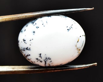 Dendritic Agate Cabochon Stone (22mm x 18mm x 6mm) - Oval Gemstone - Natural Crystal - Loose Cabs