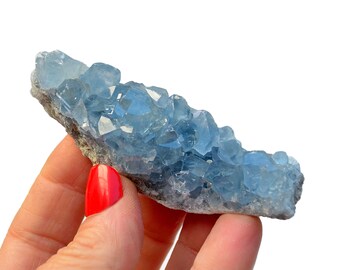 Celestite Druzy Stone -  Natural Crystal Cluster - Celestite Geode