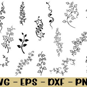 May include: A collection of black and white botanical illustrations of vines and leaves. The image showcases diverse vine designs with leaves and floral details. The bottom of the image displays the text "SVG - EPS - DXF - PNG".