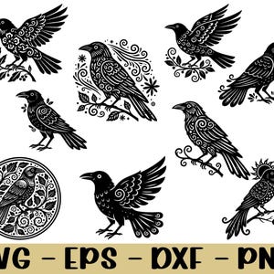 May include: A collection of black raven illustrations in various poses, with intricate decorative patterns. Some ravens perch on branches, while others are in flight. The image includes the text "SVG - EPS - DXF - PNG".