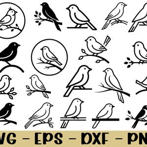 May include: A selection of black and white bird illustrations. The birds are shown in different poses, some perched on branches, others within circular frames. The image also includes the text "SVG - EPS - DXF - PNG".