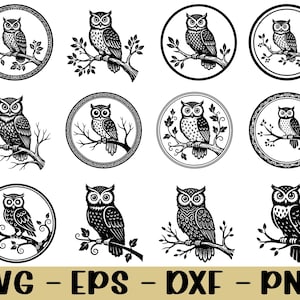 Puede incluir: Ilustraciones de búhos en blanco y negro. La imagen presenta varios diseños de búhos posados en ramas, algunos dentro de marcos circulares con bordes decorativos. El texto "SVG - EPS - DXF - PNG" está en la parte inferior.