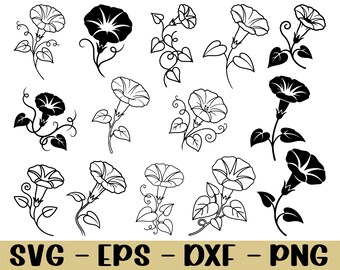 Morning Glory Flower Svg, Dxf, Png