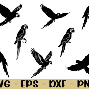 May include: Black parrot silhouettes in various poses, including flying and perched. The image features multiple parrot designs, suitable for digital crafting projects. The bottom of the image displays the text "SVG - EPS - DXF - PNG".