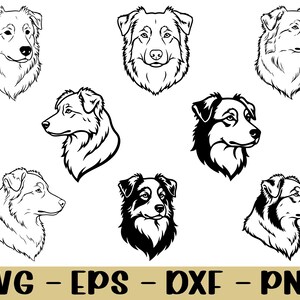 Peut inclure: Huit illustrations en noir et blanc de têtes de chiens Berger Australien, présentées sous différents angles. Les dessins incluent des vues de face et de profil, avec des détails précis. Le texte "SVG - EPS - DXF - PNG" est affiché en bas.