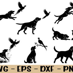 Puede incluir: Una colección de siluetas negras que muestran perros de caza y faisanes en varias posturas, incluyendo perros corriendo, saltando, sentados y cargando aves. El texto inferior muestra los formatos de archivo SVG, EPS, DXF y PNG en letras negras.