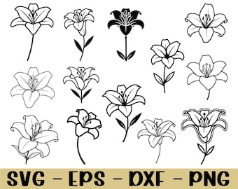 Flor de lirio Svg, silueta de flor de lirio, Dxf, Png