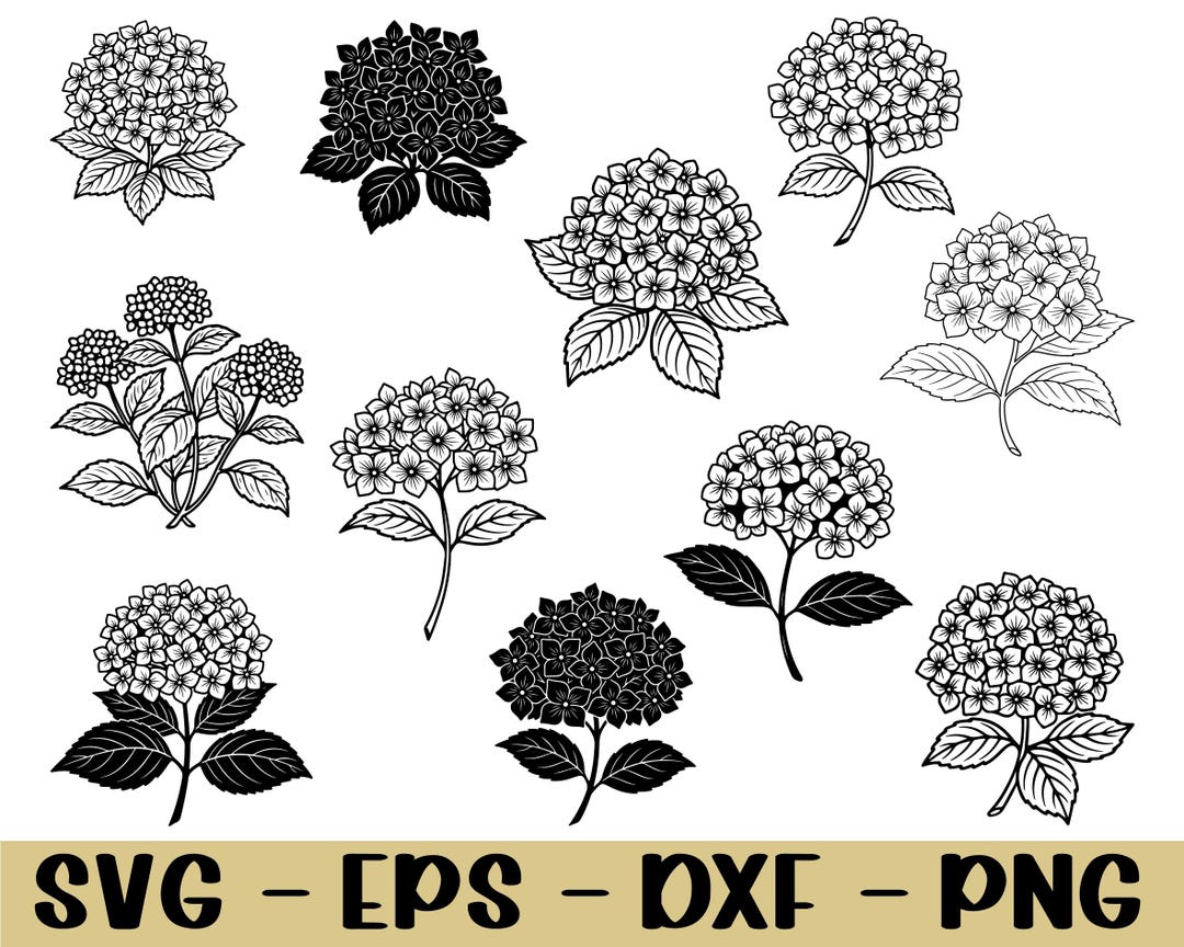 Hydrangea Flower Svg, Hydrangea Flower Silhouette, Dxf, Png - Etsy