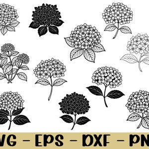 May include: A collection of hydrangea flower illustrations in black and white. The image features various arrangements of the flowers, including single blooms and clusters, with detailed leaves and stems. The bottom of the image displays the text "SVG - EPS - DXF - PNG".