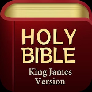 May include: A digital image of a red Holy Bible with gold lettering. The words "HOLY BIBLE" are displayed, with "King James Version" below. The top of the book is a light tan colour.