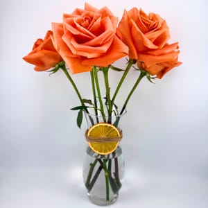 May include: A clear glass vase holding several orange roses. The vase is decorated with a dried orange slice wrapped with twine. The roses have green stems and leaves. The background is white.