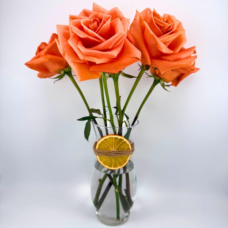 May include: A clear glass vase holding several orange roses. The vase is decorated with a dried orange slice wrapped with twine. The roses have green stems and leaves. The background is white.