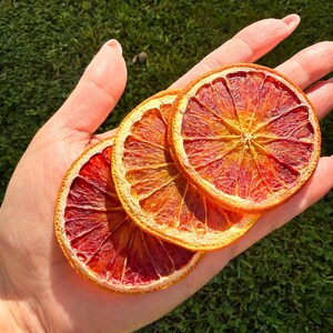 Naturally beautiful and full of citrus vibrance. Each slice is sun-kissed, aromatic, and crafted to elevate your cocktails or gift boxes with a pop of color. Bulk Dehydrated Blood Orange Slices - Dried Ruby Red Orange for Cocktails and Decor 80+ pieces