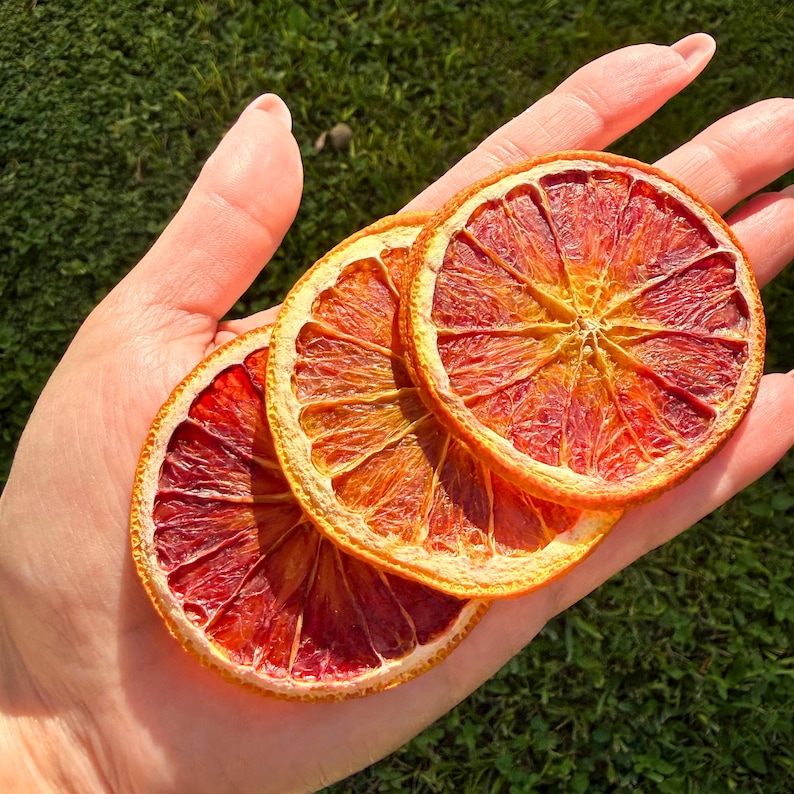 Naturally beautiful and full of citrus vibrance. Each slice is sun-kissed, aromatic, and crafted to elevate your cocktails or gift boxes with a pop of color. Bulk Dehydrated Blood Orange Slices - Dried Ruby Red Orange for Cocktails and Decor 80+ pieces