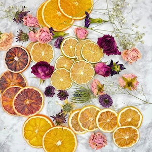 Dried Citrus Mix 20+ | Cocktail Garnish & Tea Sampler | Lemon Lime Orange Dehydrated Fruit Slices image 14