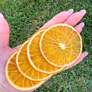 May include: Four dried orange slices, each with a bright orange interior and a white rind, are held in a hand against a backdrop of green grass. The slices are arranged in a row, showcasing their circular shape and natural texture.