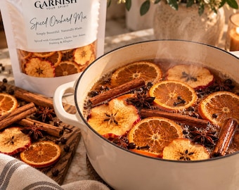 Christmas Simmer Pot Kit / 20+ Dried Orange, Apples, Cinnamon & Star Anise Stovetop Potpourri