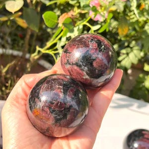 May include: Two polished gemstone spheres, each with a dark, reflective surface and a pattern of deep red and black inclusions. The spheres are held in a hand, with a blurred background of green foliage and pink flowers.