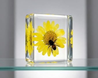 Mothers Day Gift Idea， Real Bee Resin Cube with Yellow Flower, Apis Mellifera Keepsake, Nature Inspired Gift, Cozy Desk Decor