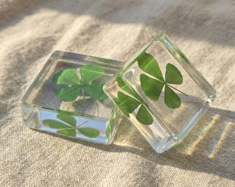 Gift Idea, Real Four Leaf Clover Lucky Charm, Clear Resin Good Luck Block, Mini Nature Keepsake for Desk or Shelf,Small Good Luck Gift