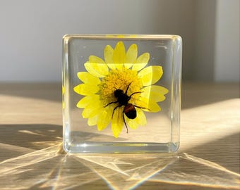 Cozy Nature Decor, Real Bee Resin Cube, Yellow Flower Aesthetic, Minimalist Desk Decor, Warm Home Accent, Mothers Day Gift for Mom