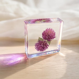 Könnte beinhalten: Ein klarer, quadratischer Harzblock mit zwei konservierten violetten Klee-Blüten. Das transparente Material fängt das Licht ein und wirft einen leuchtend violetten Schatten auf die Oberfläche. Die Blüten sind mittig im glatten Harzrahmen platziert.
