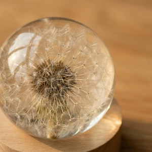 Mother’s Day Gift for Mom, Custom Engraved Dandelion Resin Ball, Real Flower Keepsake, Personalized Gift, Lighted Wooden Base Decor