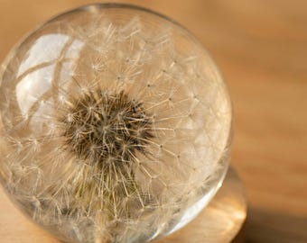 Mother’s Day Gift for Mom, Custom Engraved Dandelion Resin Ball, Real Flower Keepsake, Personalized Gift, Lighted Wooden Base Decor