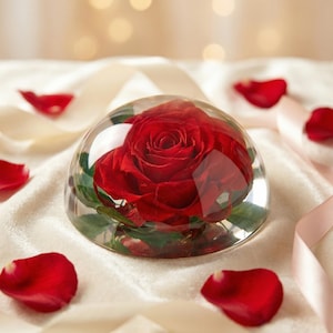以下が含まれることがあります： 透明なガラスドームに収められた鮮やかな赤いバラ。花びらと緑の葉の繊細なディテールが際立っています。赤いバラの花びらがベースの周りに散りばめられ、ロマンチックでエレガントな雰囲気を演出しています。