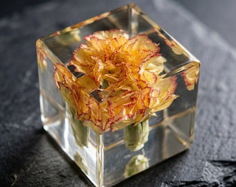 Regalo para el Día de la Madre, Cubo de Resina con Clavel Real, Regalo para Mamá en el Día de la Madre, Decoración con Flores Preservadas, Recuerdo de Clavel Amarillo