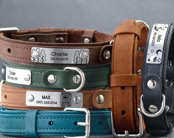 Leather Dog Collar with Engraved Nameplate — Personalized ID, Adjustable Buckle, Secure D-Ring