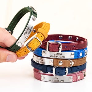 May include: A stack of colorful pet collars in various shades, including green, yellow, burgundy, blue, brown, navy, and pink. Each collar has a silver nameplate with a pet's name and phone number. One green collar is held up.