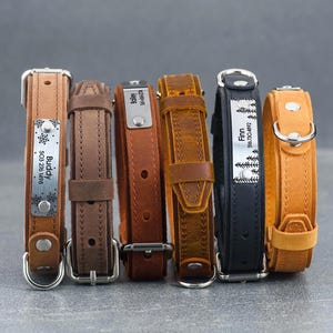 May include: A collection of six leather dog collars in various shades of brown and black. Each collar features a metal nameplate with engraved text and a metal buckle. The collars are arranged vertically against a gray background.