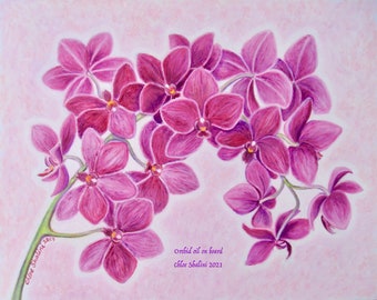 Pink Orchid ART PRINT A4/A3, 21x29/30x40cm, 11.7x16.5" of original oil painting print Pink purple orchid art print