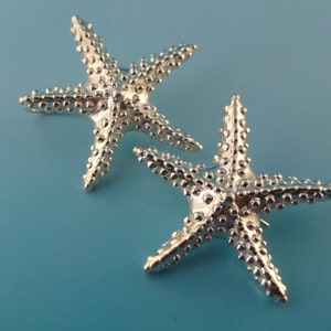 Starfish Post Earrings in Sterling Silver or Sea Star Earrings Very Elegant image 4