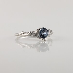 May include: A silver ring featuring a blue gemstone set in a branch-like design.