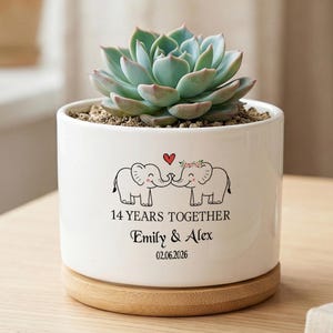 Maceta personalizada en forma de corazón para aniversario de pareja, maceta de cerámica para suculentas, regalo de 14 años juntos, decoración de boda y compromiso, nombre y fecha personalizados.