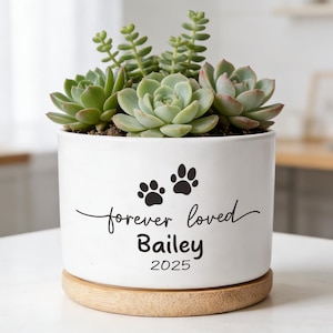 Puede incluir: Una maceta de cerámica blanca con un arreglo de suculentas. La maceta presenta huellas de patas negras y el texto "forever loved Bailey 2025". La maceta se asienta sobre una base redonda de madera.