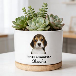 Puede incluir: Maceta de cerámica blanca con un retrato de beagle, el texto "NEVER FORGOTTEN" y el nombre "Charlie". La maceta contiene suculentas verdes y descansa sobre una base de madera. Un artículo decorativo para el hogar.