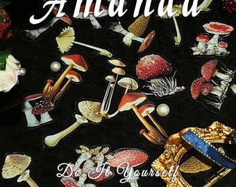 Pack of Unique Mushroom Stickers, Colorful Botanical Nature Stickers, Vintage-style Fungi Decals for Journals, Scrapbooks & Laptop